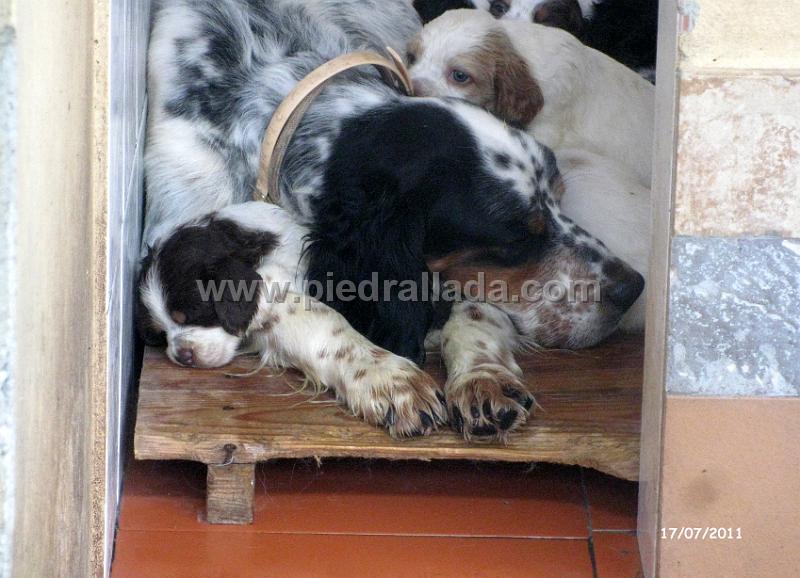 IMG_5772.JPG - Durmiendo en los brazos de mamá