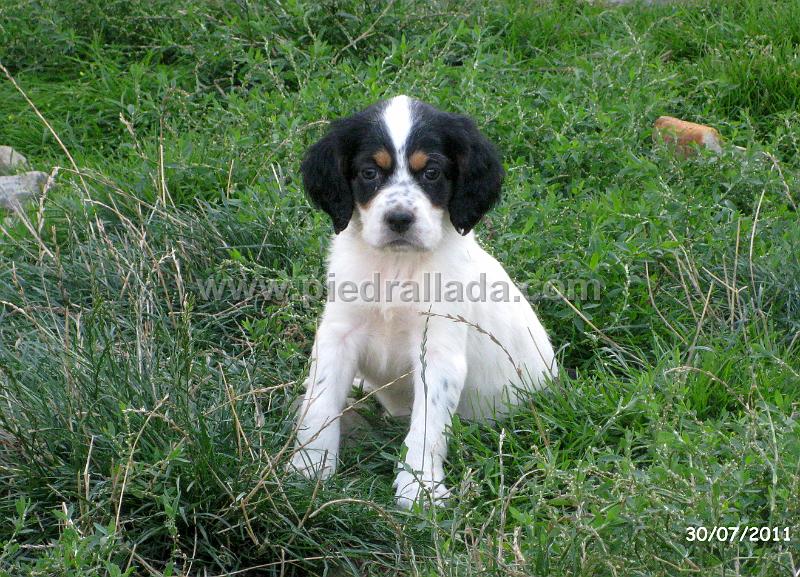 IMG_5840.JPG - Una de las hembras
