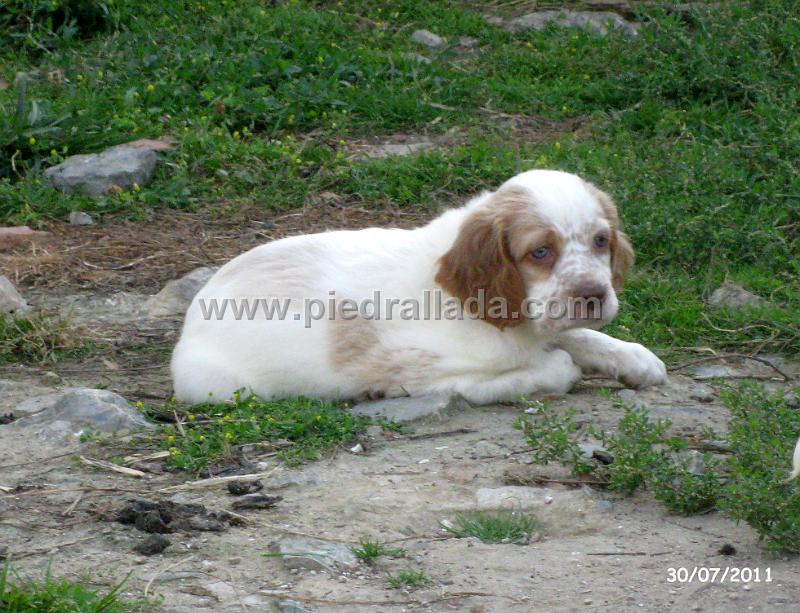 IMG_5841.JPG - Un macho
