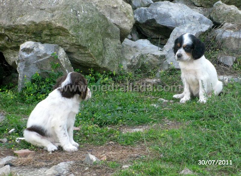 IMG_5852.JPG - Dos hembras