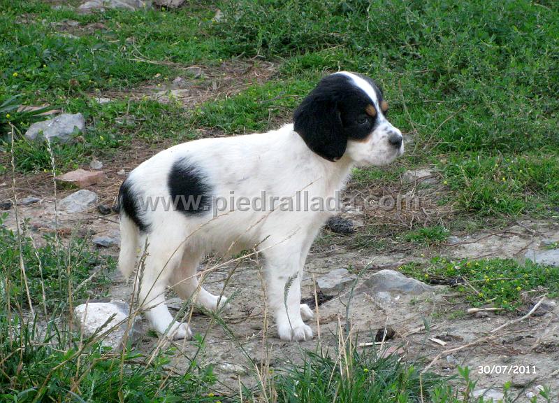 IMG_5859.JPG - Hembra