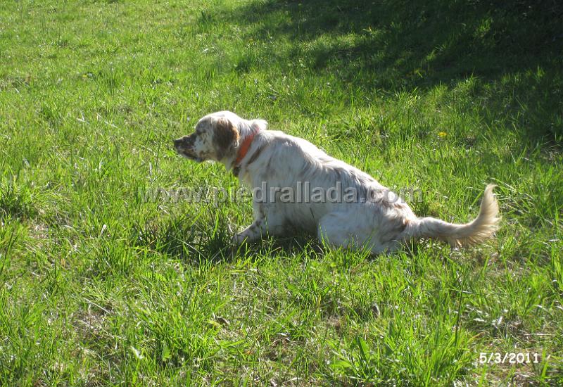 IMG_5232.JPG - Primeras muestras de Nina con siste meses