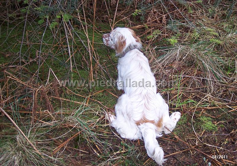noa009.jpg - Noa con siete meses en muestra a becada